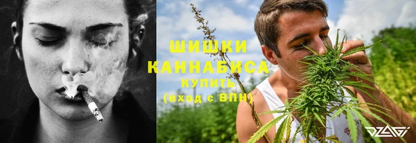 не бодяженный Шадринск