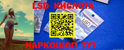 стафф Гай