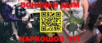 стафф Гай
