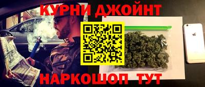 стафф Гай