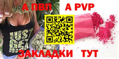 стафф Гай