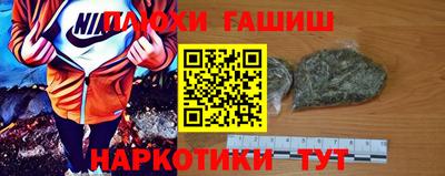 стафф Гай