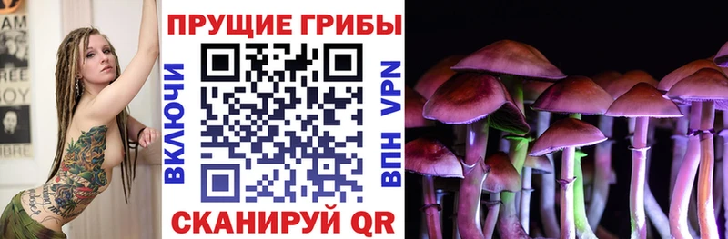 нарко площадка формула  Жуковский  Галлюциногенные грибы Psilocybe 
