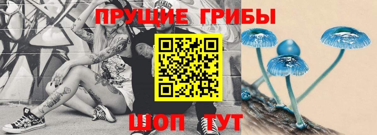 Псилоцибиновые грибы Psilocybine cubensis  Вход с VPN  Жуковский 