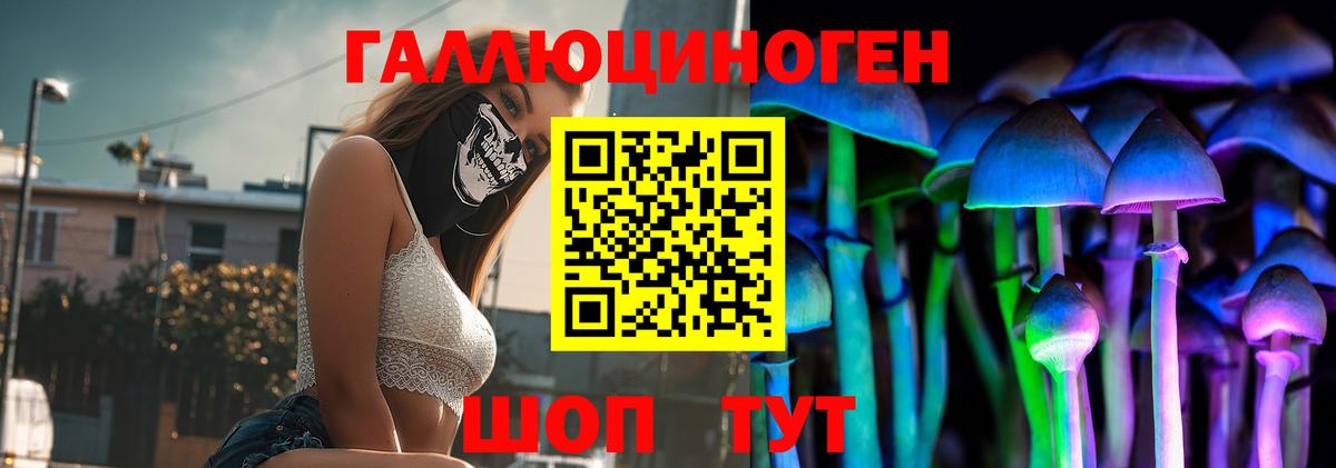 Псилоцибиновые грибы Psilocybe  Жуковский 